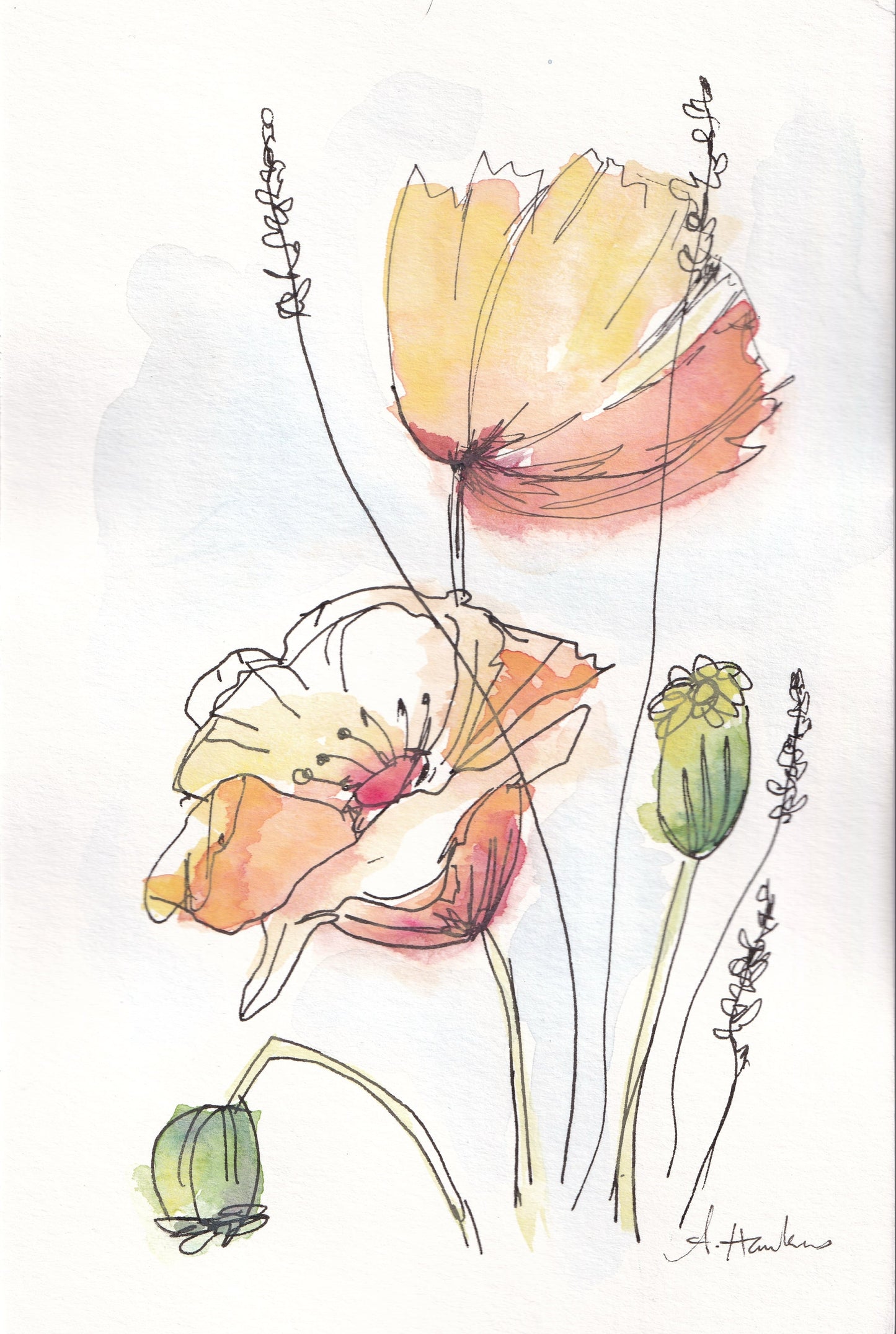 Sunsets and Flowers - Original Watercolour Art
